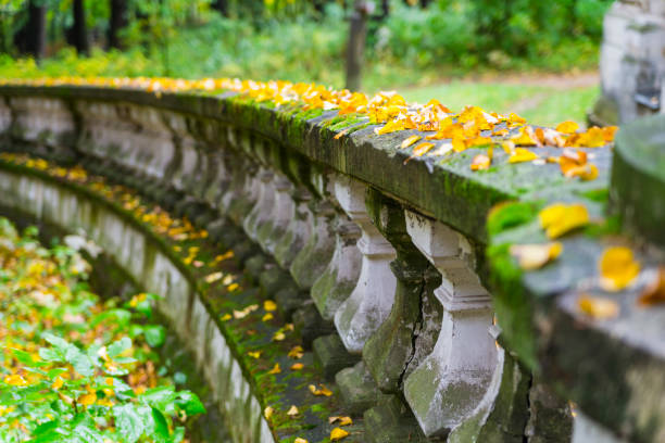 istock Moscow region. Bykovo manor 1429276538
