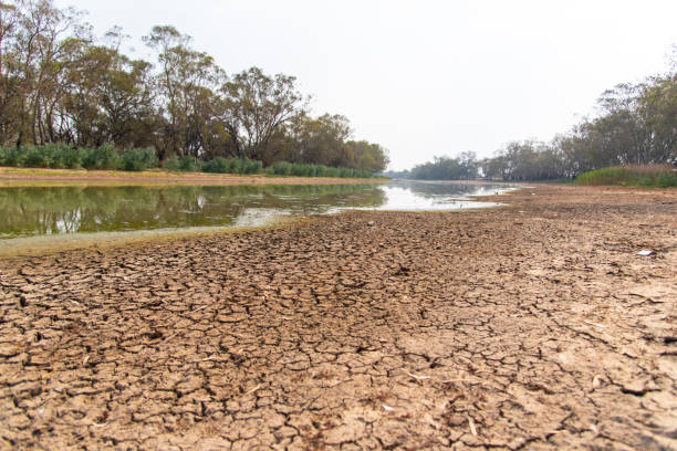 Drought river of Bogan river at Nyngan regional town. The drought river in summer of Bogan river at Nyngan regional town of New South Wales, Australia. aussie bogan stock pictures, royalty-free photos & images