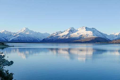 One bird swimming on the surface leaves a wake across Lake Pukaki in the Southern Alps.  In the background are Aoraki Mount Cook and the Aoraki Mount Cook Range.  This image was taken at dusk in early Spring.