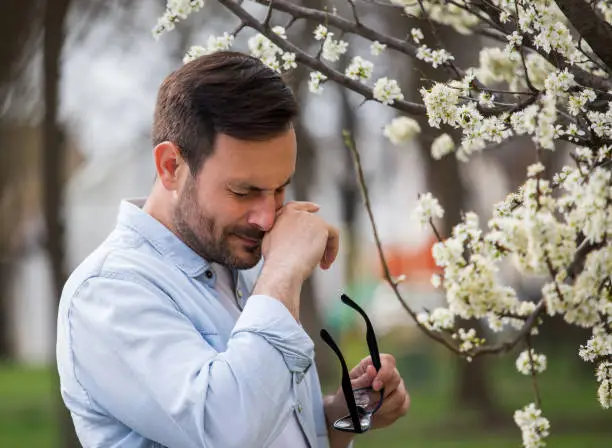 Young man having alergy symptoms beside blooming tree in spring time