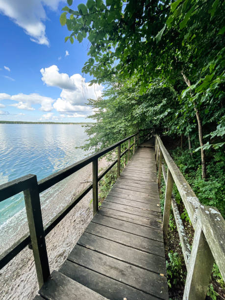 istock Bridge in the forest near the sea 1429285951