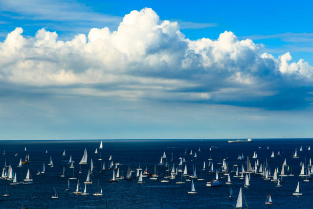 Regatta in the gulf of Trieste