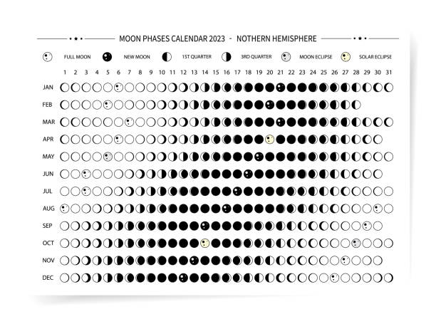 ilustrações de stock, clip art, desenhos animados e ícones de one page 2023 year moon calendar. modern minimal moon calendar poster template design. lunar phases schedule and cycles. vector illustration background. black and white simple and clean design. - lunar year