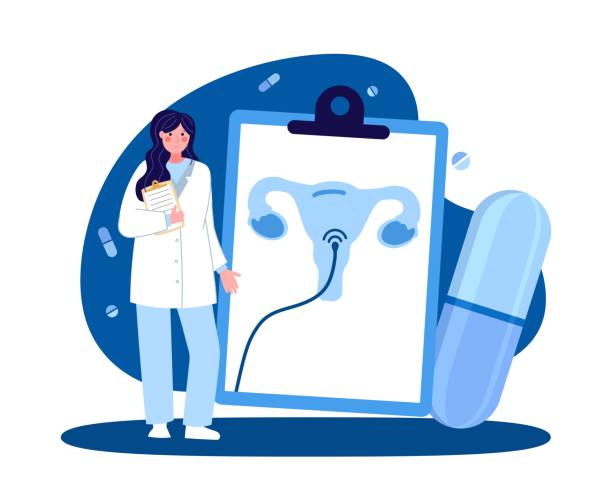 A female medical worker. Gynecologist with a tablet. The concept of medicine and health. Vector illustration in a flat style on a blue background A female medical worker. Gynecologist with a tablet. The concept of medicine and health. Vector illustration in a flat style on a blue genital herpes stock illustrations