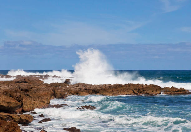 istock Beautiful Oahu north shore,Hawaii  pictures 1429293645