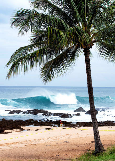 istock Beautiful Oahu north shore,Hawaii  pictures 1429293698