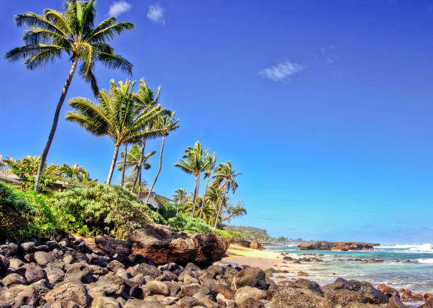 istock Beautiful Oahu north shore,Hawaii  pictures 1429293864