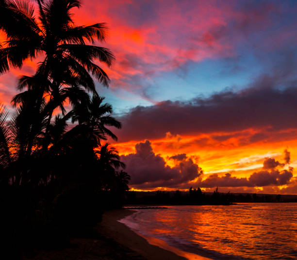 istock Beautiful Oahu north shore,Hawaii  pictures 1429293902