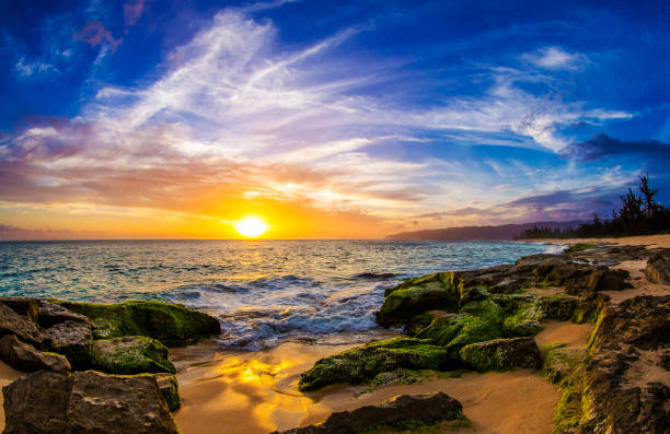 istock Beautiful Oahu north shore,Hawaii  pictures 1429294075