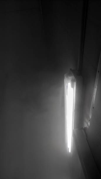 istock White lamp in the steamy production room 1429297075
