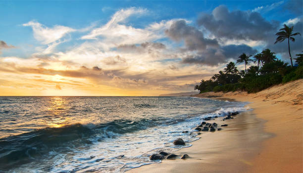 istock Creative Oahu north shore,Hawaii  pictures 1429299397