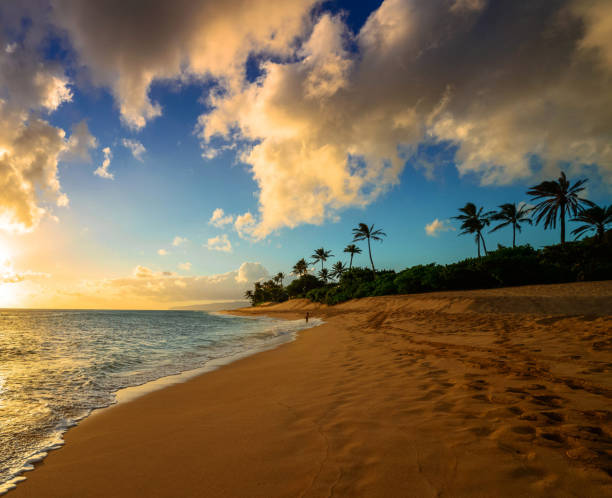 istock Creative Oahu north shore,Hawaii  pictures 1429299462