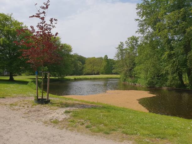 istock Pond with natural beauty 1429304152