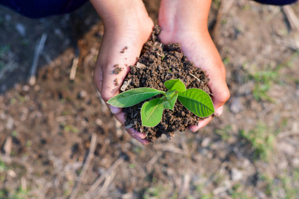 istock Reduce CO2 emission concept, Sustainable development and green based on renewable, Ecology, Earth day. 1429312049