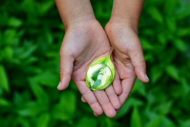 istock Hand Embracing Green Leaf and Globe, World Earth Day Concept. 1429312192