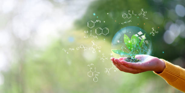 istock Reduce CO2 emission concept, Sustainable development and green based on renewable, Ecology, Earth day. 1429312242