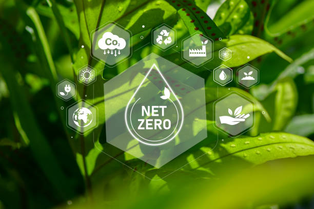 istock CO2 Net-Zero Emission concept, The concept of carbon neutral and net zero. natural environment A climate-neutral long-term strategy greenhouse gas emissions targets 1429312374