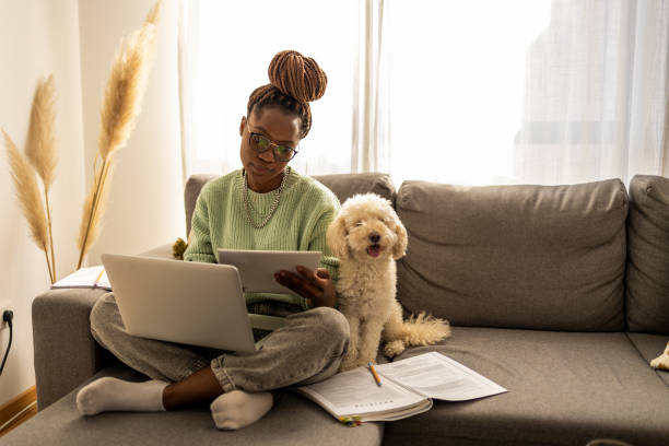 istock African American woman studying online 1429312442