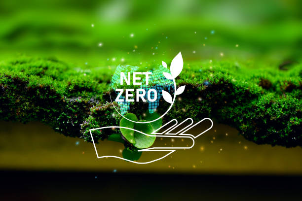 The concept of carbon neutral and net zero. natural environment A climate-neutral long-term strategy greenhouse gas emissions targets with green net center icon on green background stock photo