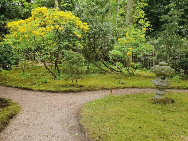 istock Beautiful garden with statue 1429317707