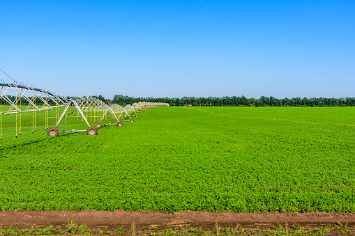 Modern irrigation system at fertile agricultural field