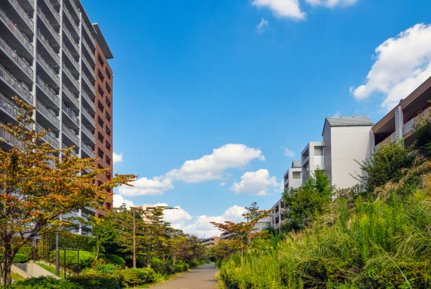 istock Residential area, Tokyo, Japan. 1429338869