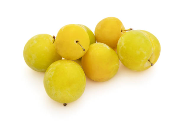 istock pile of isolated plums on a white background 1429339239