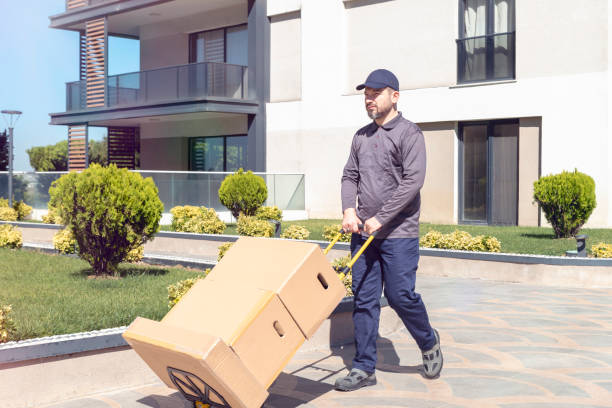 Cargo Delivering Delivery Person, Cargo Container, Hand Truck, Delivering, Door mover delivery person box hand truck stock pictures, royalty-free photos & images