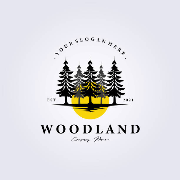 pine, evergreen, Rustic woodland logo Vintage retro fir, hemlock, spruce, conifer, cedar, coniferous, cypress, larch, pinus trees icon vector illustration icon symbol background label template design