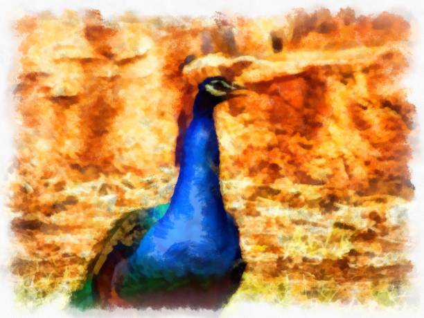istock blue-green peacock watercolor style illustration impressionist painting. 1429367672