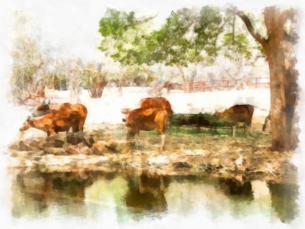 istock a herd of wild deer drinking water watercolor style illustration impressionist painting. 1429372240