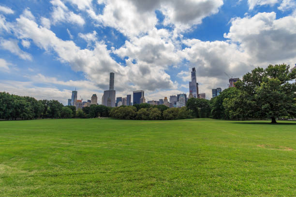 istock New York City - Central Park 1429375544