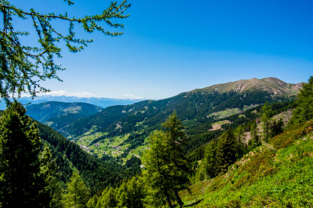 istock 2022 06 11 Lagorai alpine valleys in the woods 1429377640