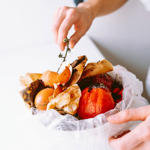 istock Bucket with biological garbage, food waste in biodegradable package 1429377641