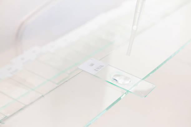 istock Scientist preparing slides with paraffin embedded tissue samples for immunohistochemistry assay in the laboratory. 1429379969