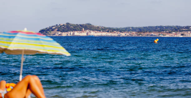 St Tropez from the Plage du Gros Pin across the Gulf of St Tropez Sunbathing on the beach at Plage Gros du Pin looking across the Gulf of St Tropez to the panorama landscape of St Tropez, Cote d'Azur, France pinus pinea photos stock pictures, royalty-free photos & images