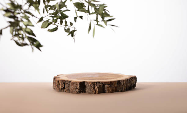 istock Modern product display on a neutral beige background with branches. Wooden round podium. 1429381327