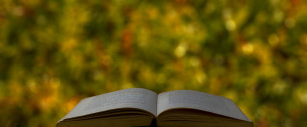istock Old open book with leaves bokeh background 1429384897