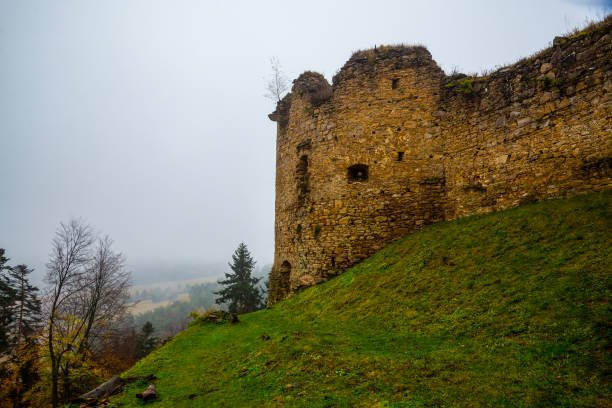 Ruins of medieval castle