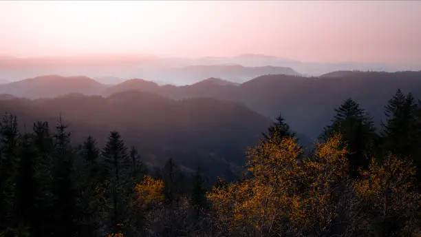 Amazing panorama of autumnal autumn fog landscape in black forest panorama banner long  in the morning, with colorful orange red leaves