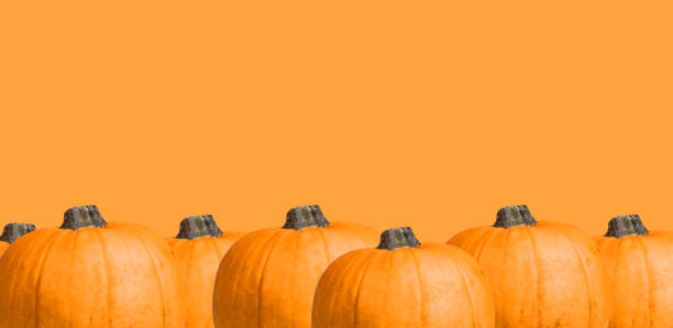 istock Pumpkin harvest banner with orange squash border decoration 1429396197