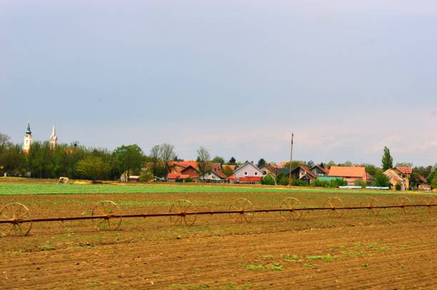 istock a landscape of cultivated fields 1429398738