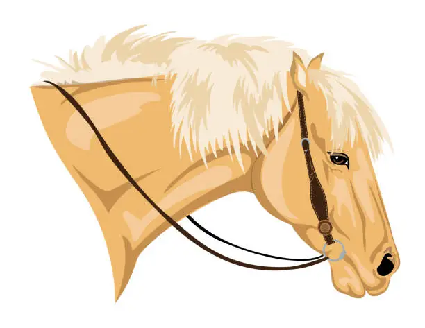 Vector illustration of Western Style Palomino Horse Head