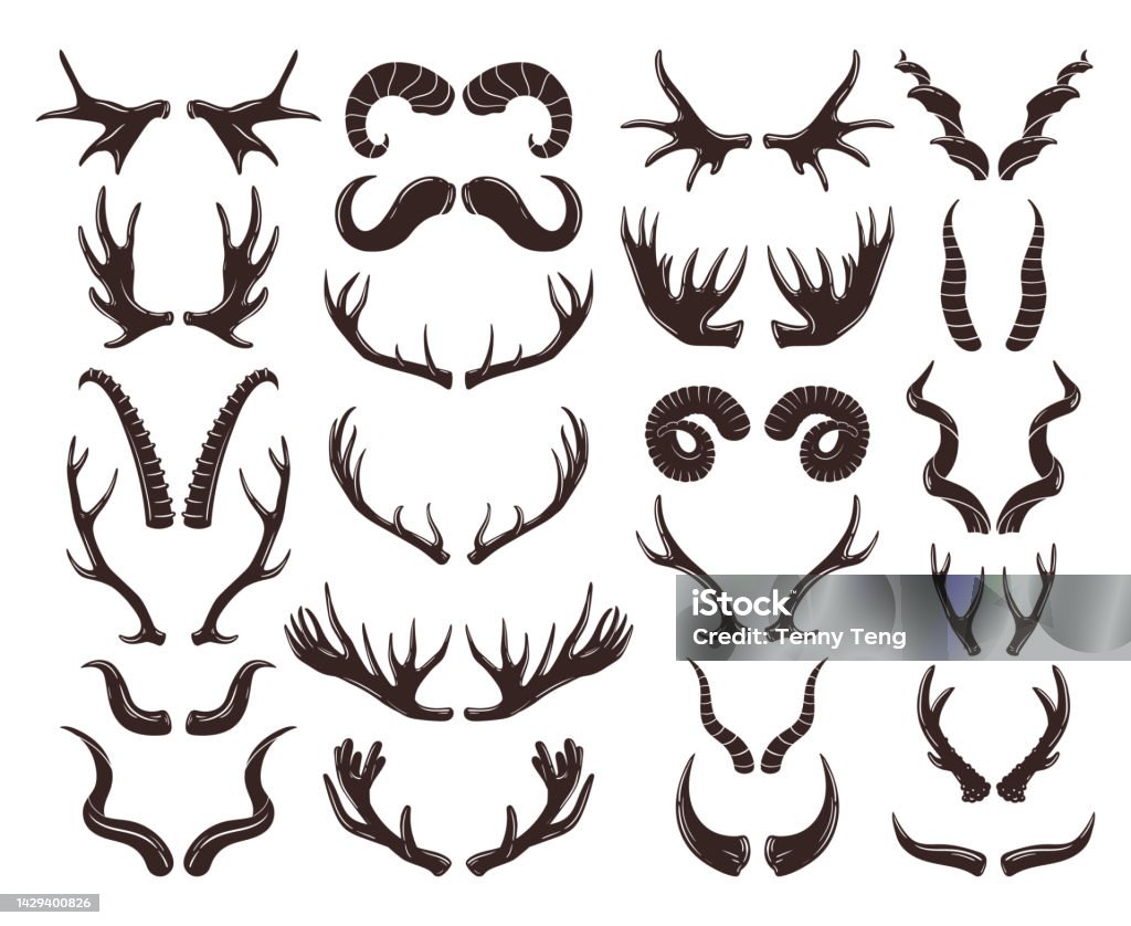 Ilustración de Cuernos De Mamíferos Siluetas De Astas De Animales De Dibujos Animados Animales De Cuernos Salvajes Cabra Antílope Carnero Búfalo Reno Y Cuernos De Antílope Conjunto De Símbolos Vectoriales Planos Colección Ilustración de Cuernos De Mamíferos Siluetas De Astas De Animales De Dibujos Animados Animales De Cuernos Salvajes Cabra Antílope Carnero Búfalo Reno Y Cuernos De Antílope Conjunto De Símbolos Vectoriales Planos Colección