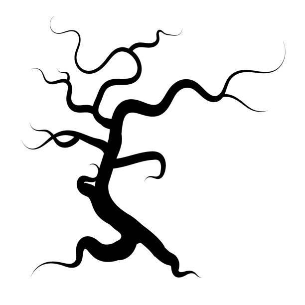 illustrations, cliparts, dessins animés et icônes de halloween tree silhouette. - death fear focus on shadow isolated objects