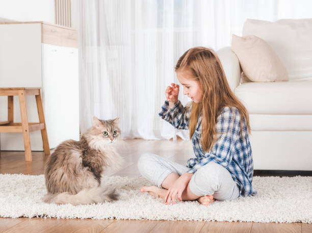 istock Girl playing with cat 1429417991