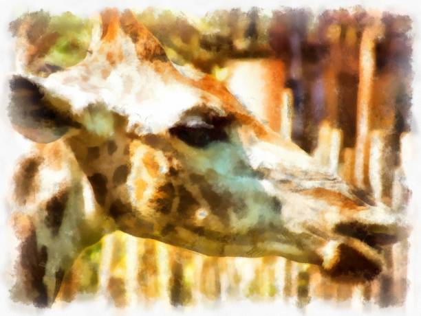 istock giraffe head watercolor style illustration impressionist painting. 1429420869