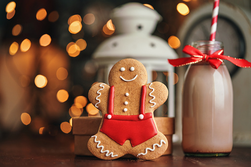 Gingerbread Christmas Cookies with Chocolate Milk