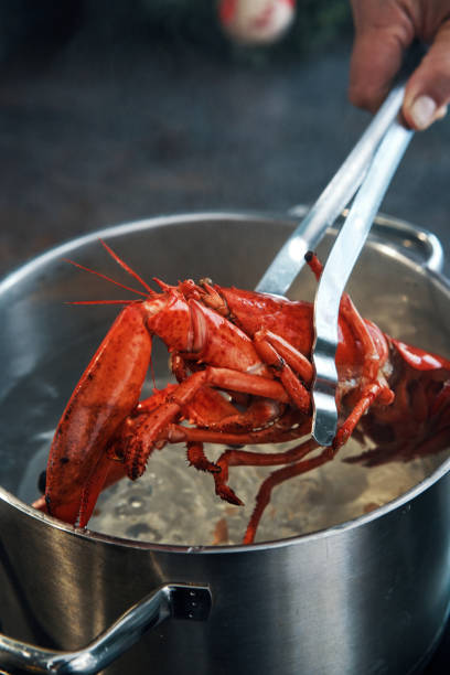 istock Cooking Fresh Lobster for Holidays 1429422651