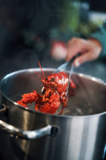 istock Cooking Fresh Lobster for Holidays 1429422661